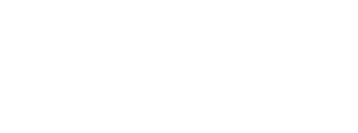 SALIHIYA AIR CARGO